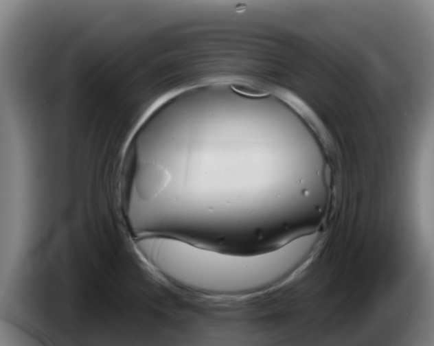 X0000086301244200704201936