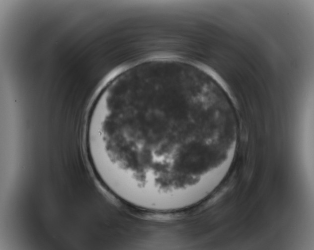 X0000086301245200704201936