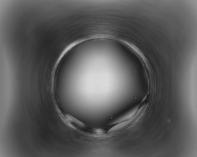 X0000086301246200704201936