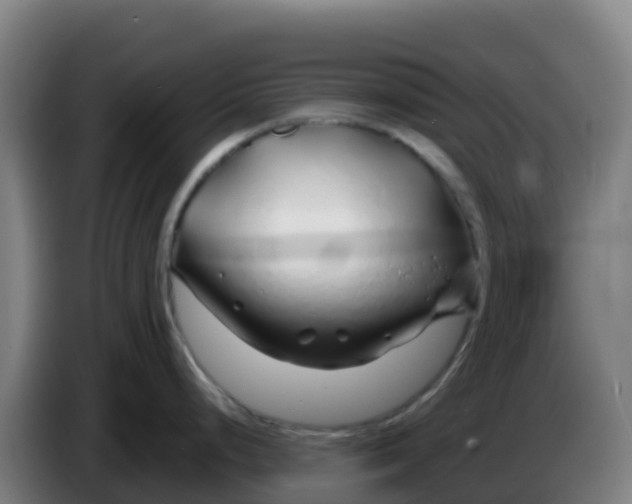 X0000086301248200704201936