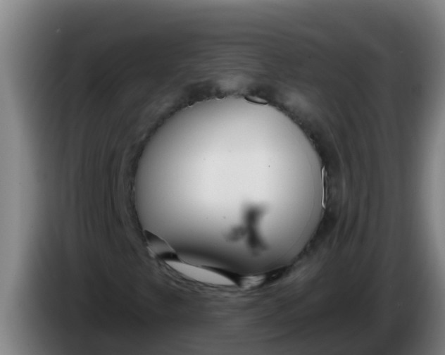 X0000086301249200704201936