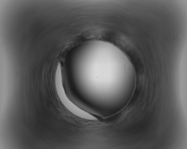 X0000086301250200704201936