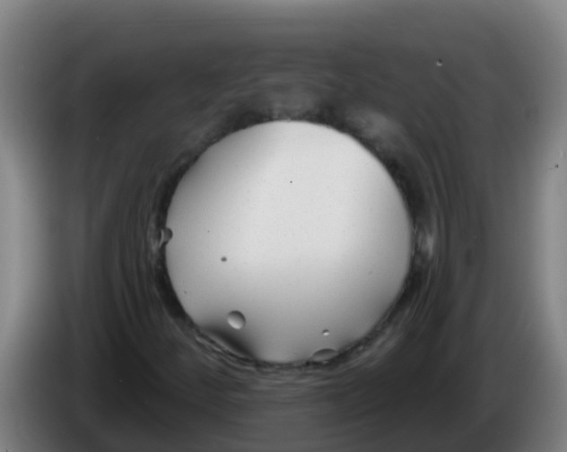 X0000086301252200704201936