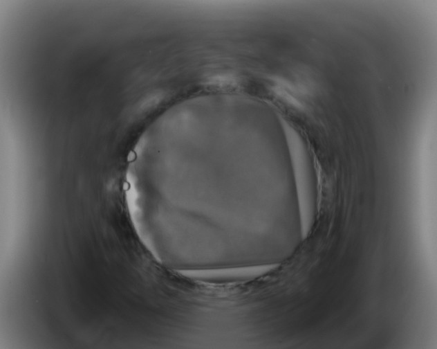 X0000086301254200704201936