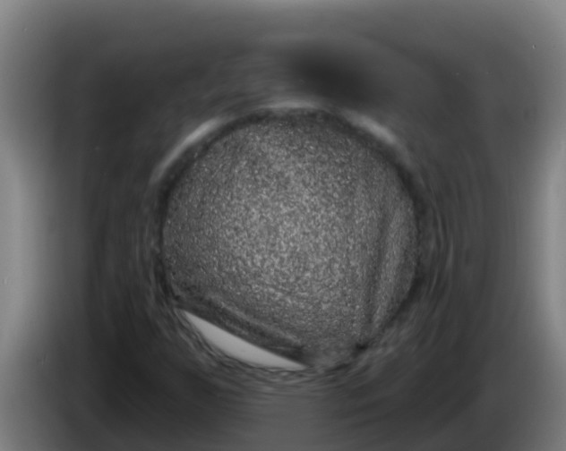 X0000086301255200704201935