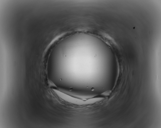 X0000086301256200704201935