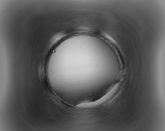 X0000086301259200704201935