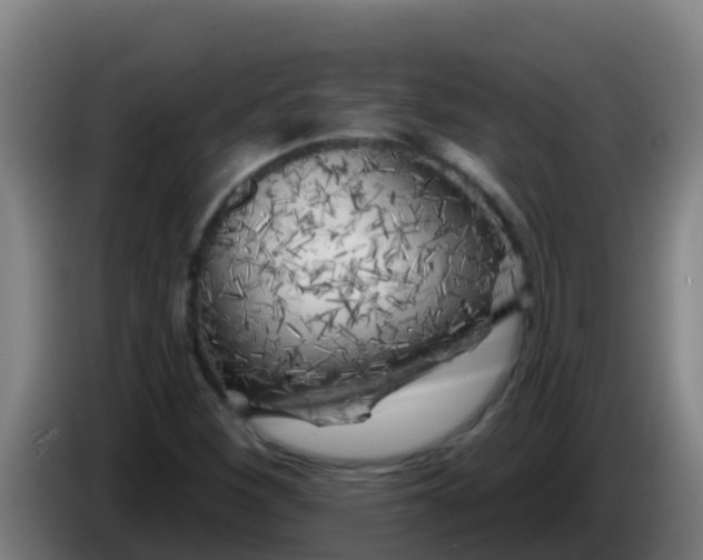 X0000086301260200704201935