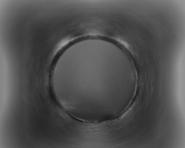 X0000086301263200704201935