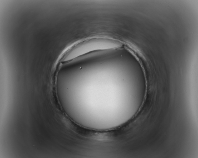 X0000086301264200704201935