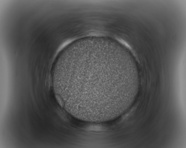 X0000086301267200704201935