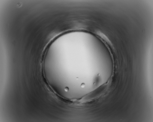 X0000086301268200704201935