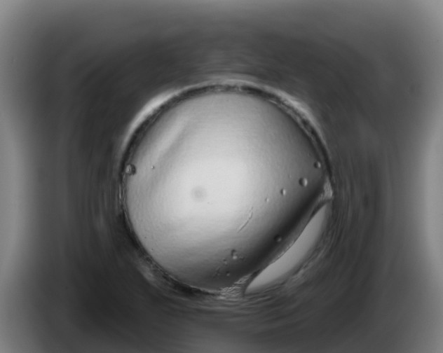 X0000086301271200704201935