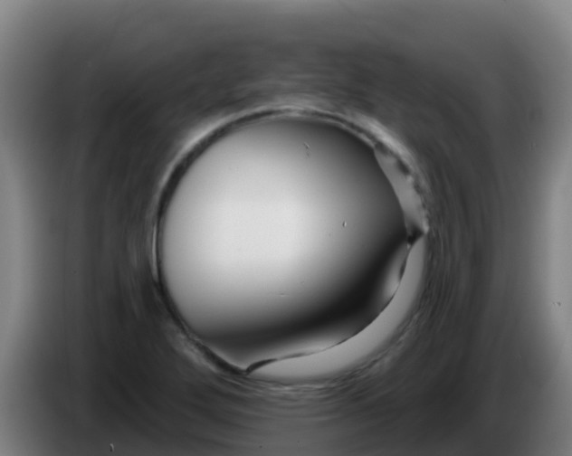 X0000086301272200704201935