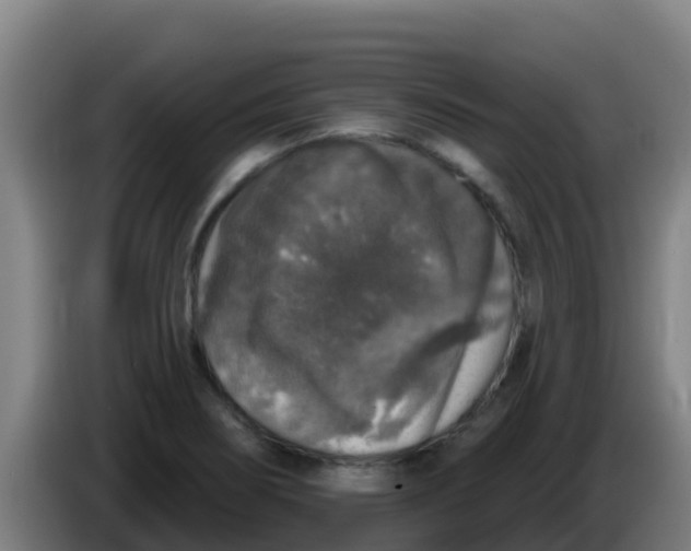 X0000086301274200704201935