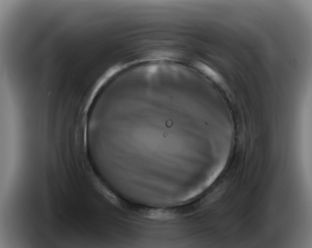 X0000086301275200704201935