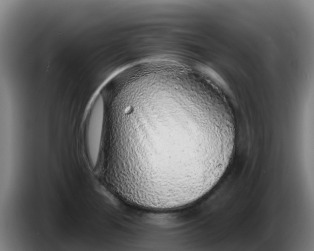 X0000086301276200704201935