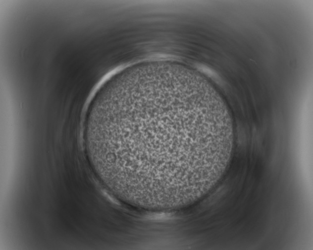 X0000086301278200704201935