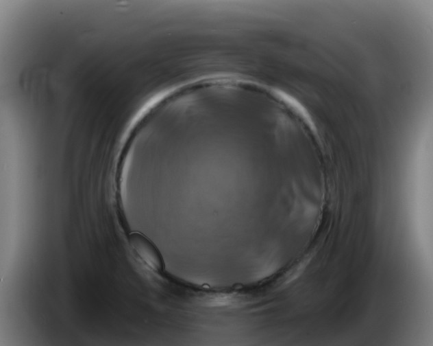 X0000086301279200704201935