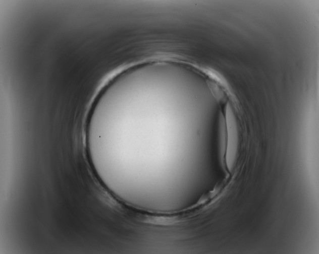 X0000086301280200704201935