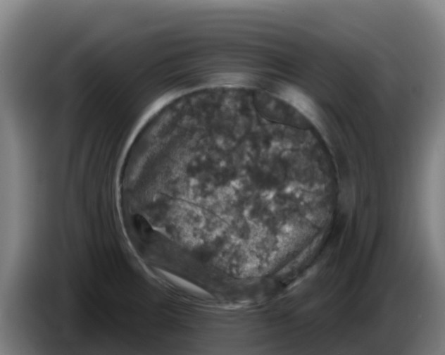 X0000086301283200704201935