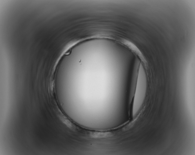 X0000086301284200704201935