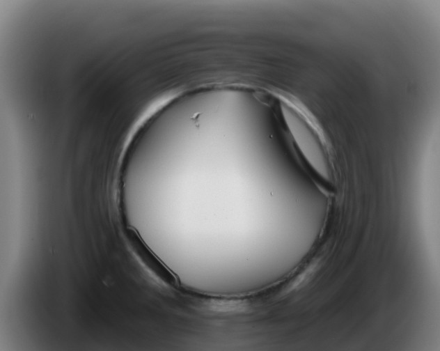 X0000086301285200704201935