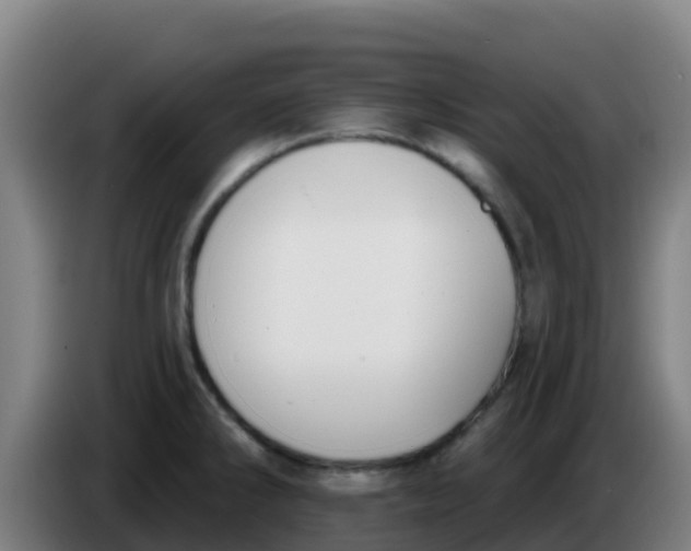 X0000086301286200704201935