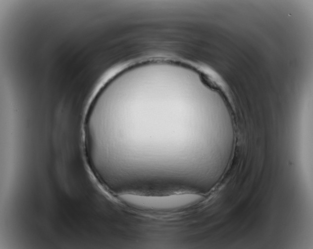 X0000086301287200704201935