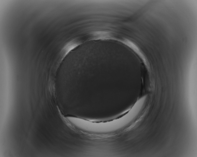 X0000086301289200704201935