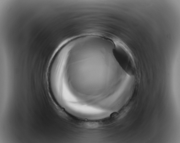 X0000086301291200704201935