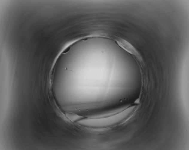 X0000086301292200704201935