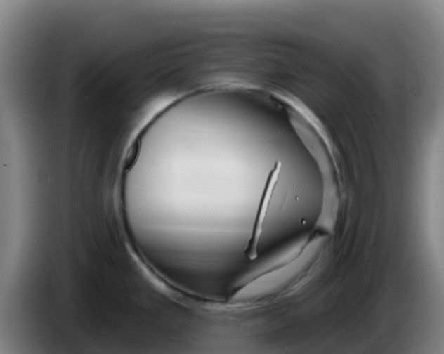 X0000086301293200704201935