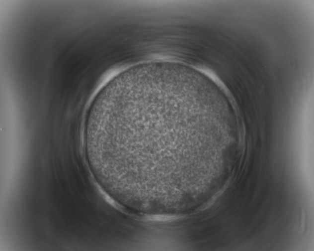 X0000086301294200704201935