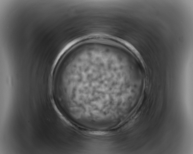 X0000086301295200704201935