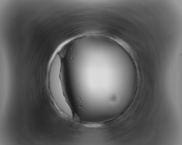 X0000086301296200704201935