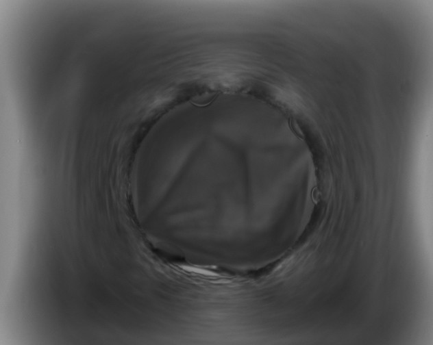 X0000086301297200704201934