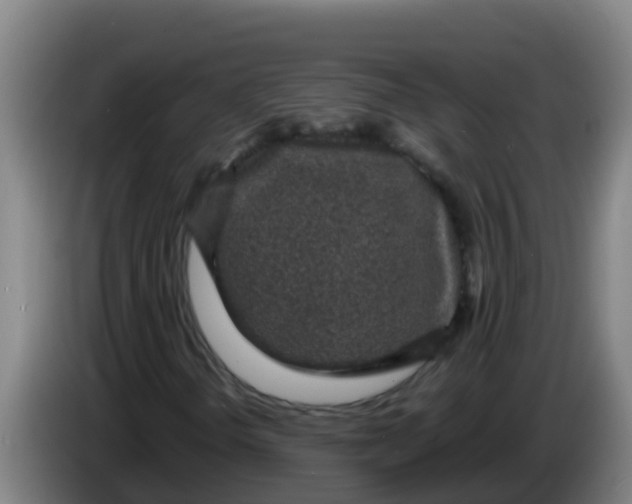 X0000086301298200704201934