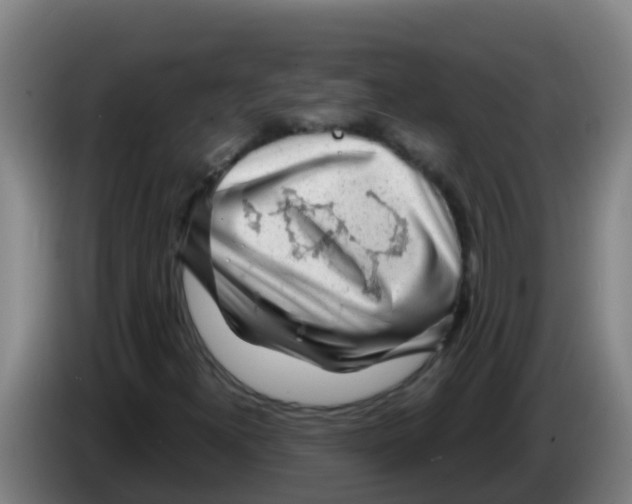 X0000086301300200704201934