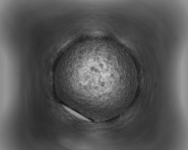 X0000086301301200704201934