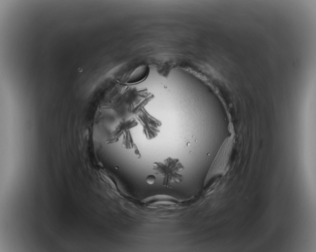 X0000086301302200704201934