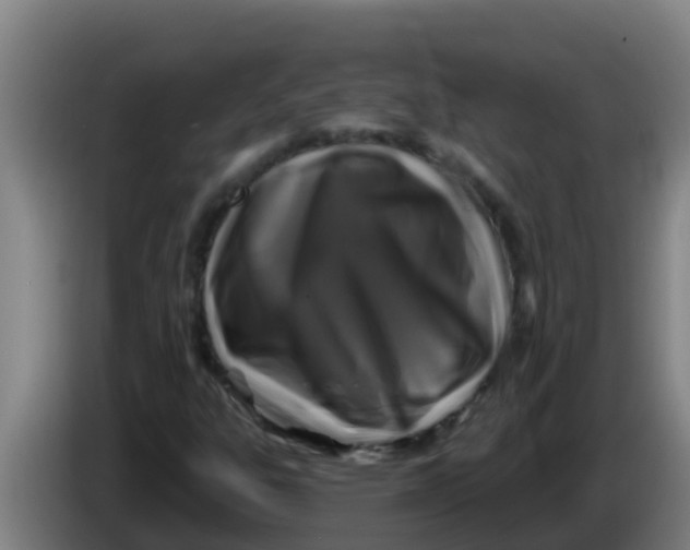 X0000086301303200704201934