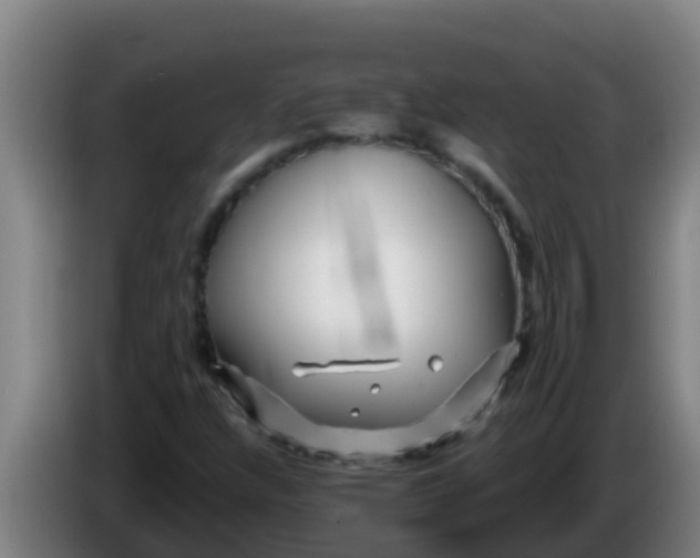 X0000086301304200704201934