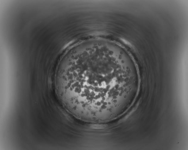 X0000086301305200704201934