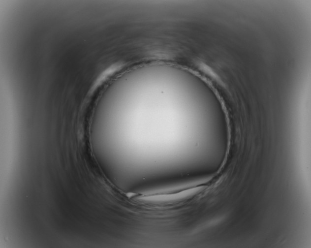 X0000086301307200704201934