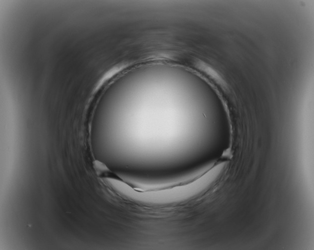 X0000086301308200704201935