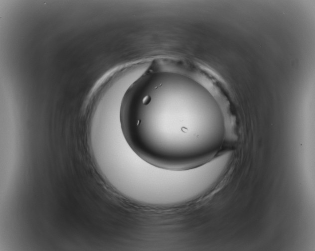 X0000086301310200704201935