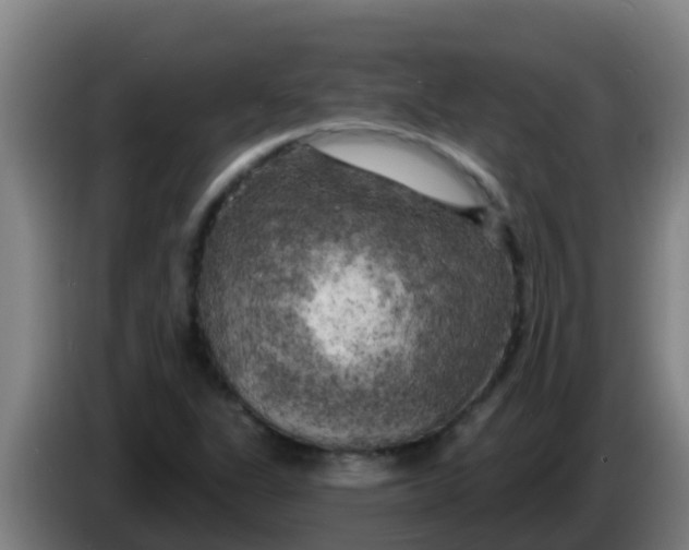 X0000086301311200704201935