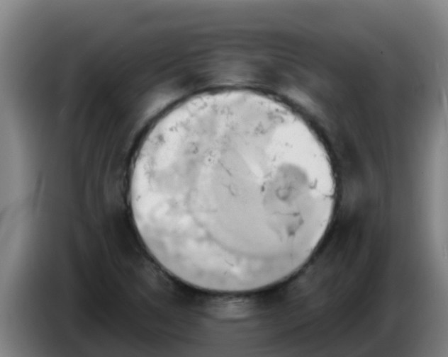 X0000086301314200704201935