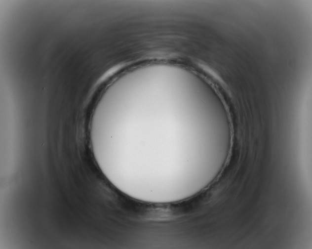 X0000086301315200704201935